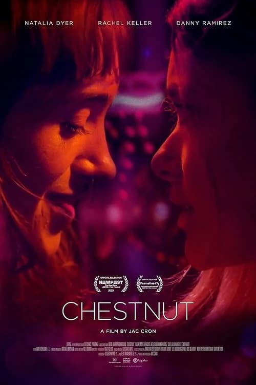 Chestnut film posteri