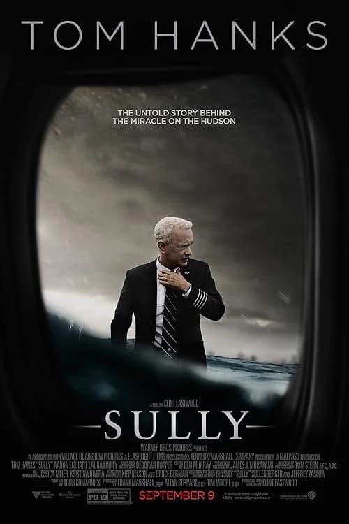 Sully film posteri